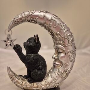 Chat sur la Lune
